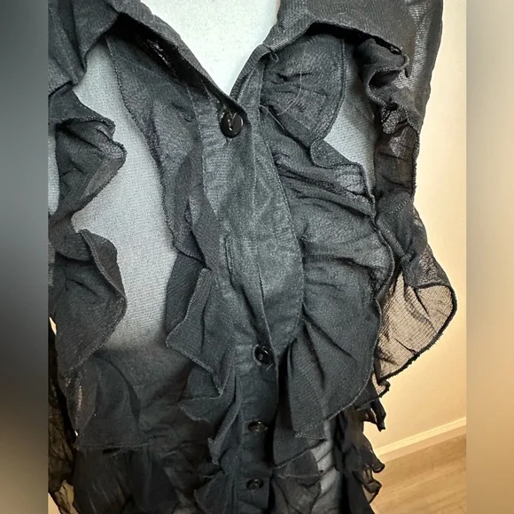 Zebra Sheer Vintage Ruffled Mesh Buttoned Blouse - Picture 3 of 12